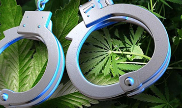 Marijuana Charges in santa rosa